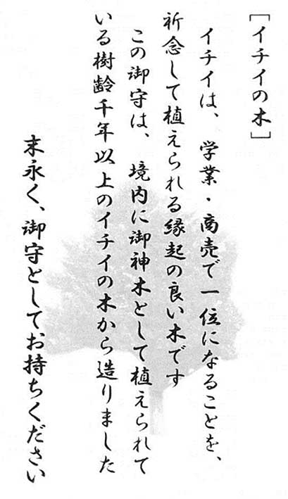 御神木いちいの木の説明